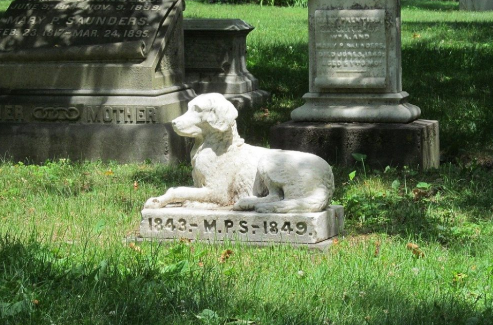 pet cemetery in Brisbane