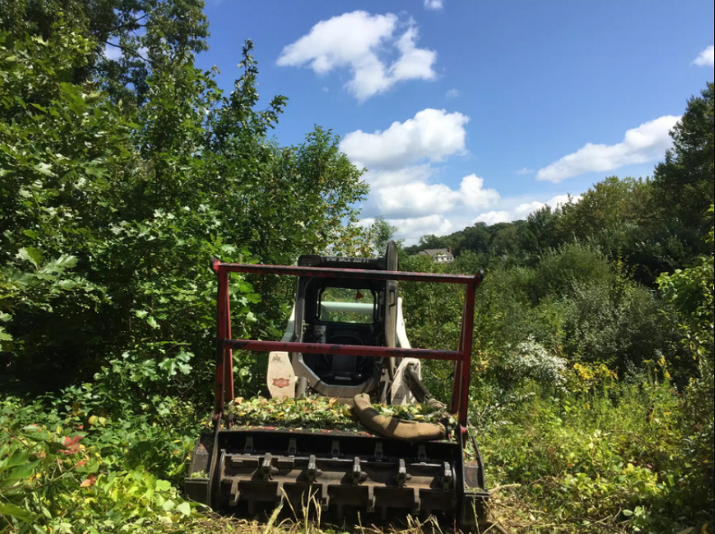 Forestry mulching contractors in Brisbane