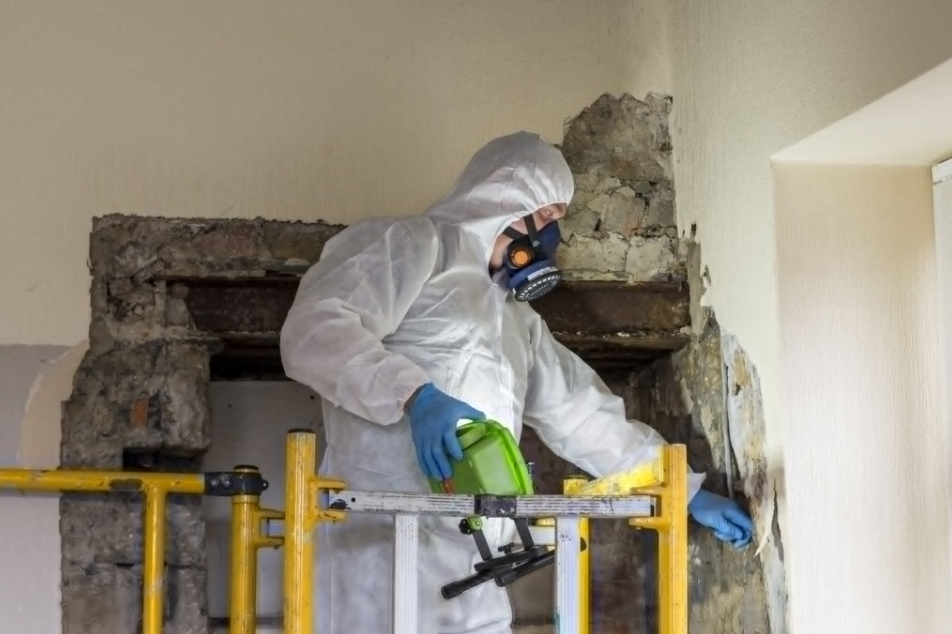 asbestos testing in Brisbane